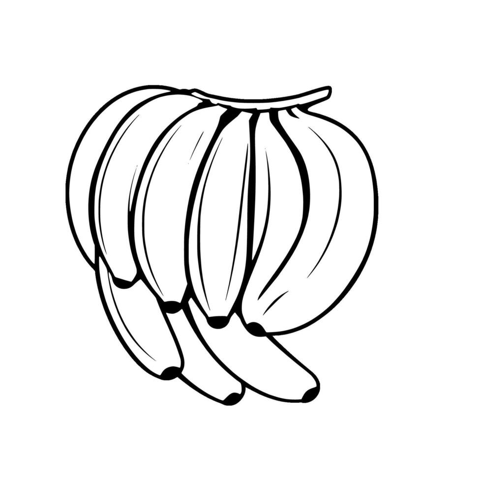 Line Art Illustration A Bunch Of Bananas vector