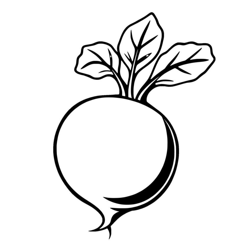 Vibrant Pink Beetroot Illustration Fresh Produce Design vector