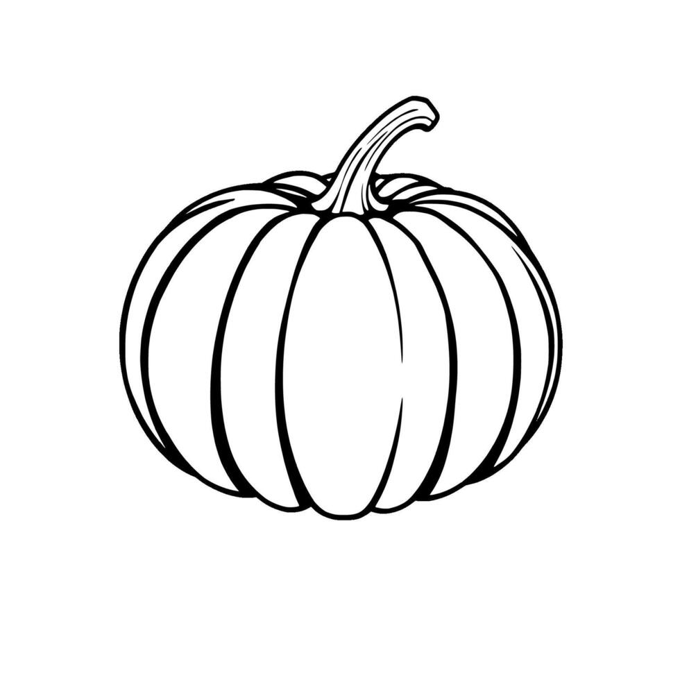 Vibrant Red Pumpkin Illustration Autumn Harvest Symbol vector
