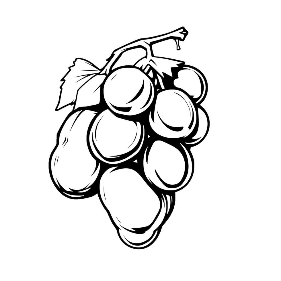 A Single Bunch Of Grapes Black And White Illustration vector