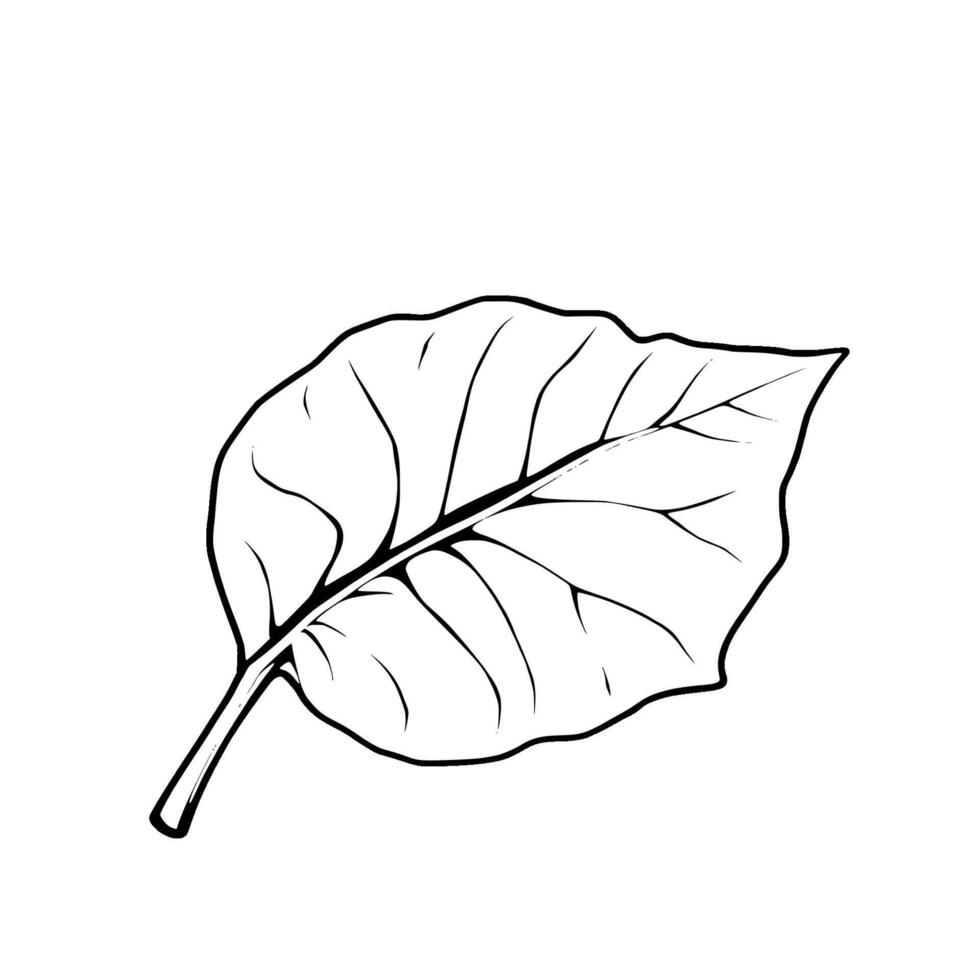 Single Line Drawing Of A Detailed Leaf Illustration vector