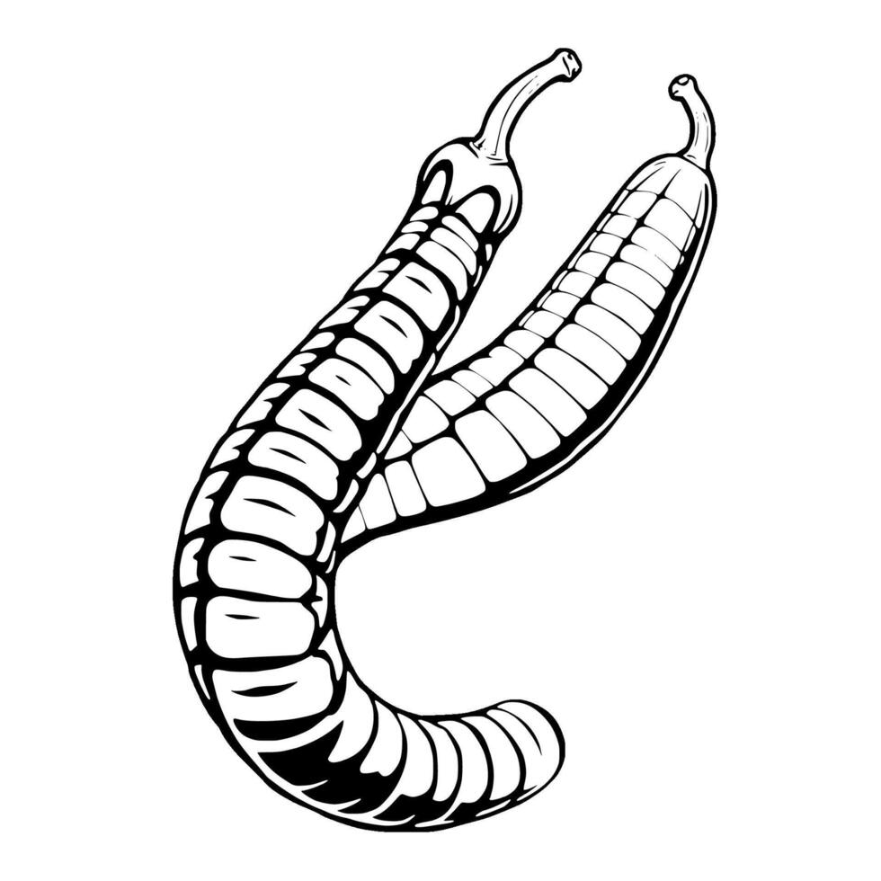 Black And White Illustration Of Two Curved Pods vector