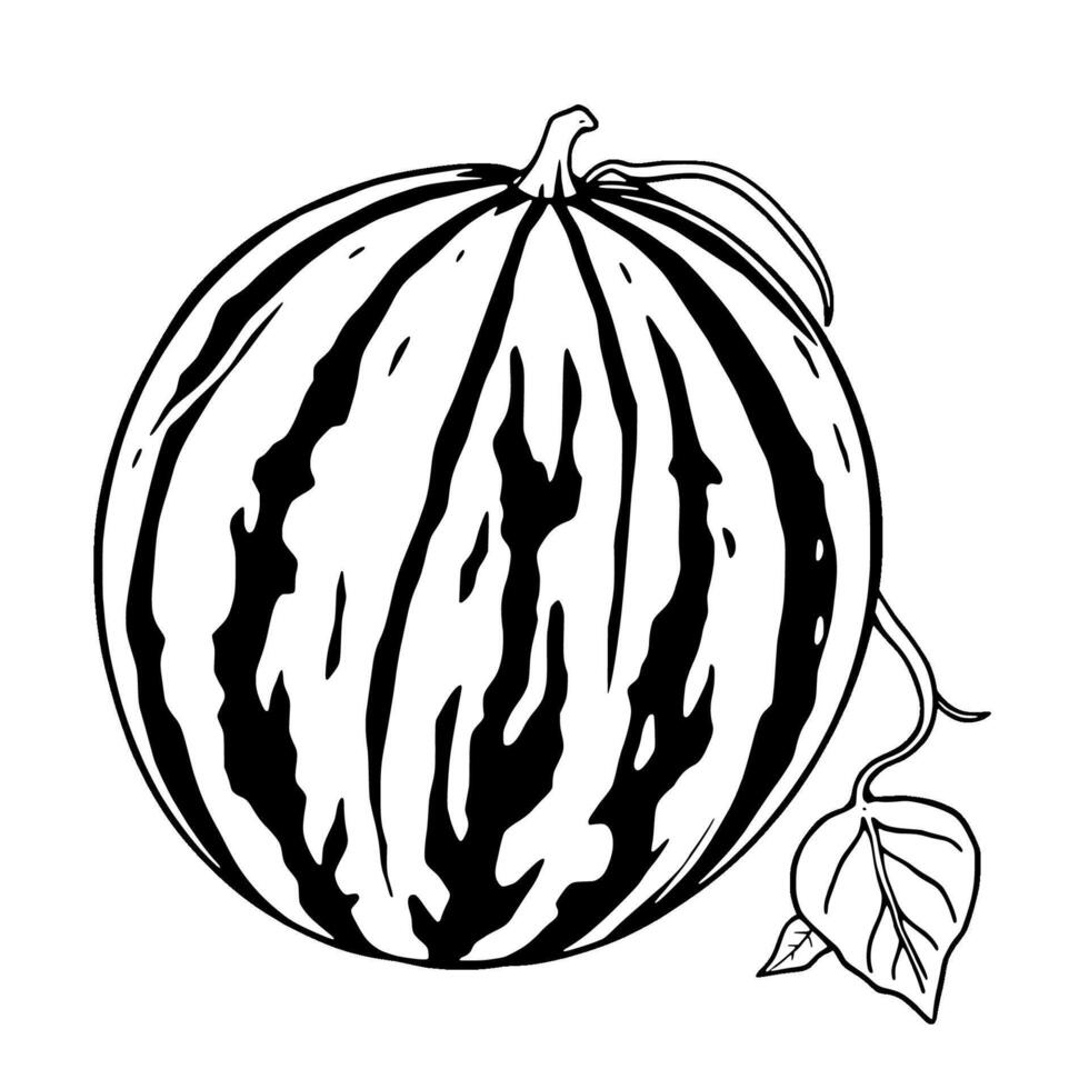 Black And White Illustration Of A Watermelon With Leaf vector