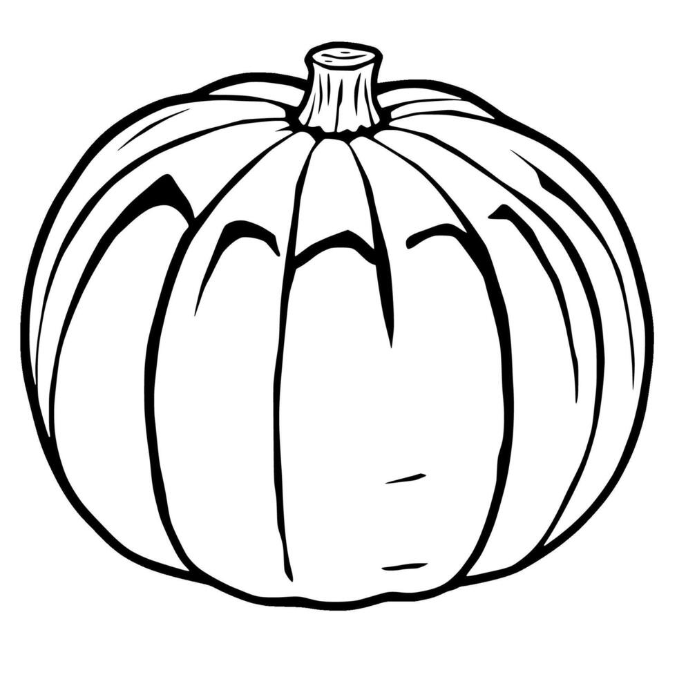 Simple Line Drawing Of A Whole Pumpkin vector