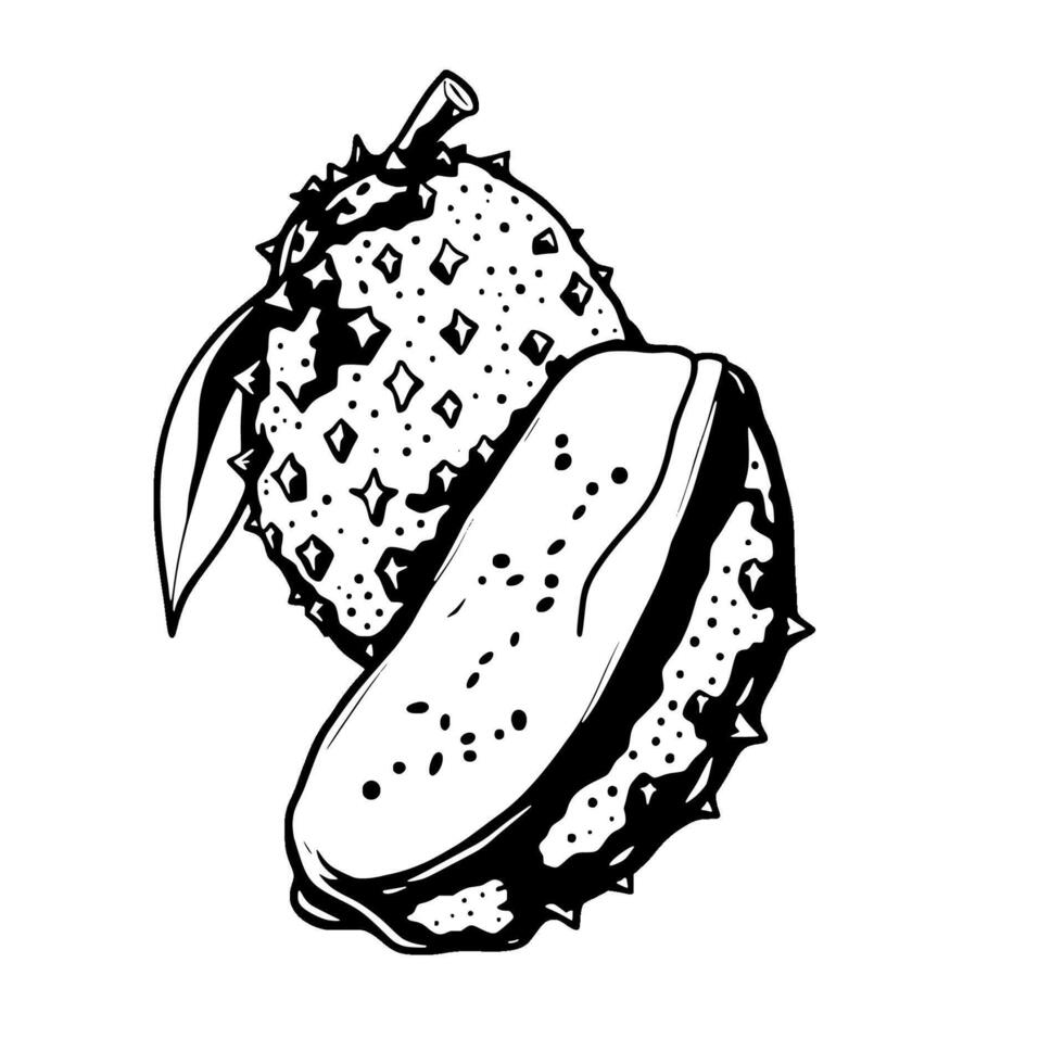 Soursop Fruit Illustration A Detailed Line Drawing of Tropical Soursop vector