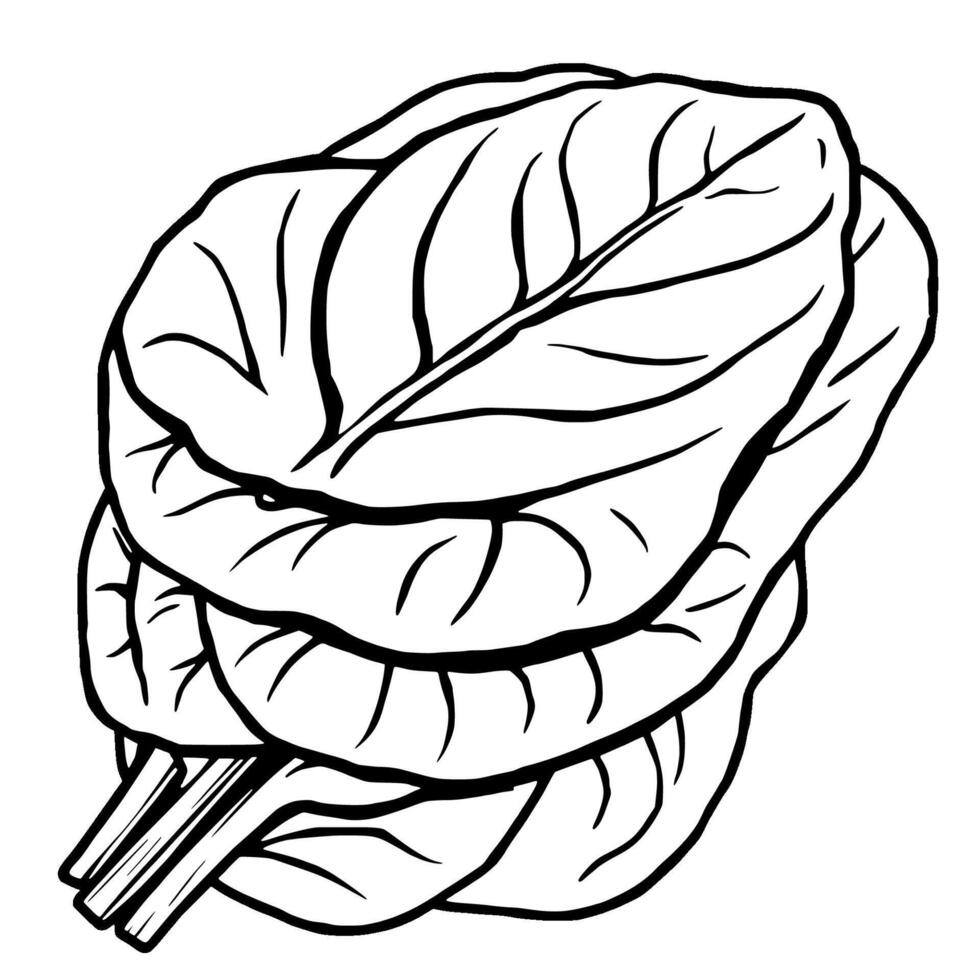 Fresh Green Spinach Leaves Stacked Ready To Eat vector