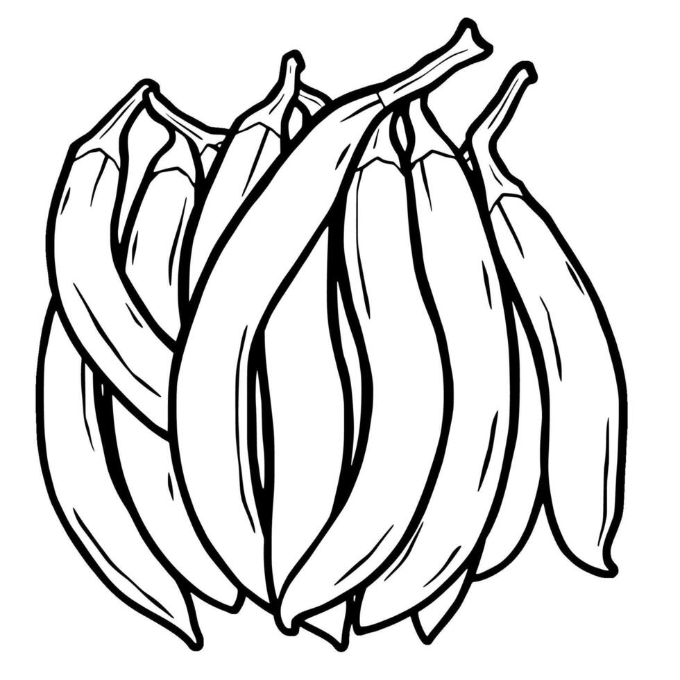 A Bunch of Fresh Purple Eggplants Ready For Cooking vector