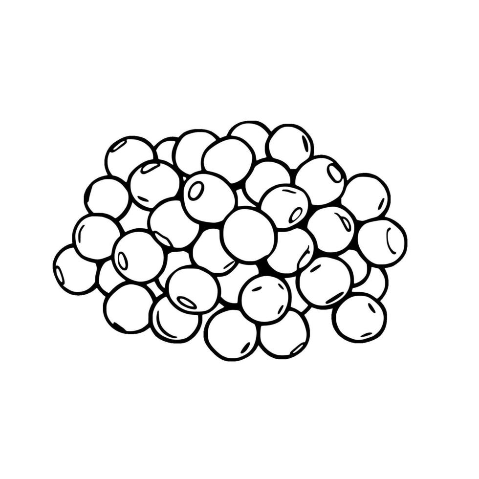 A Cluster Of Round Dark-Outlined Berries Or Seeds vector
