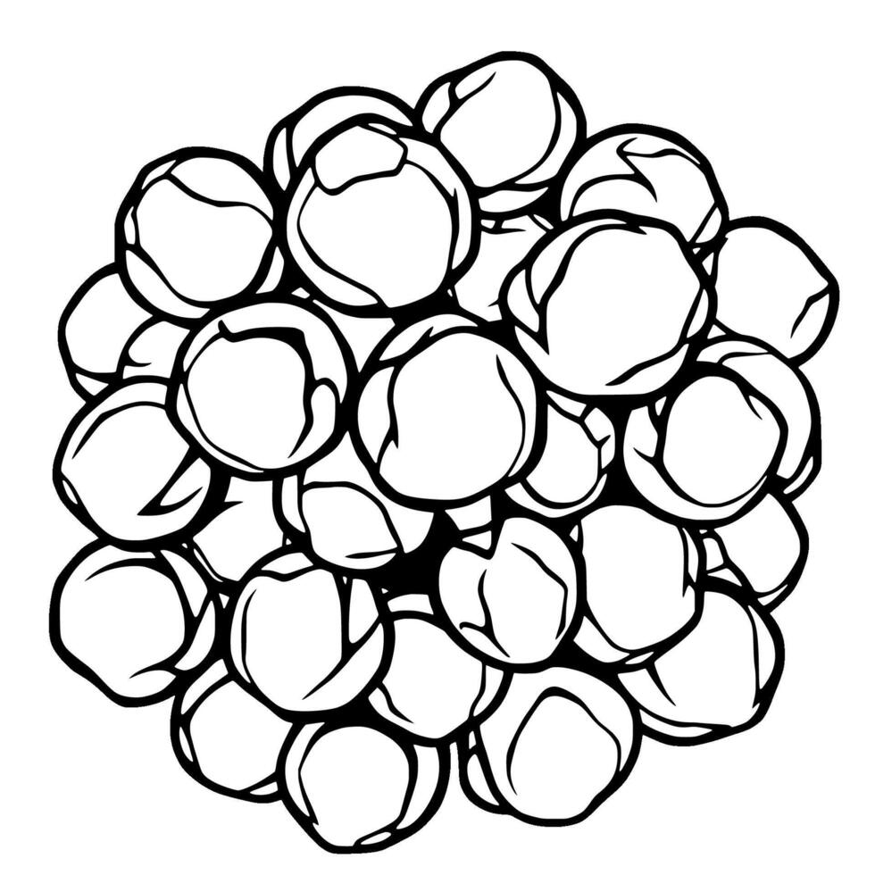 A Cluster Of Pale Yellow Round Objects Possibly Food vector