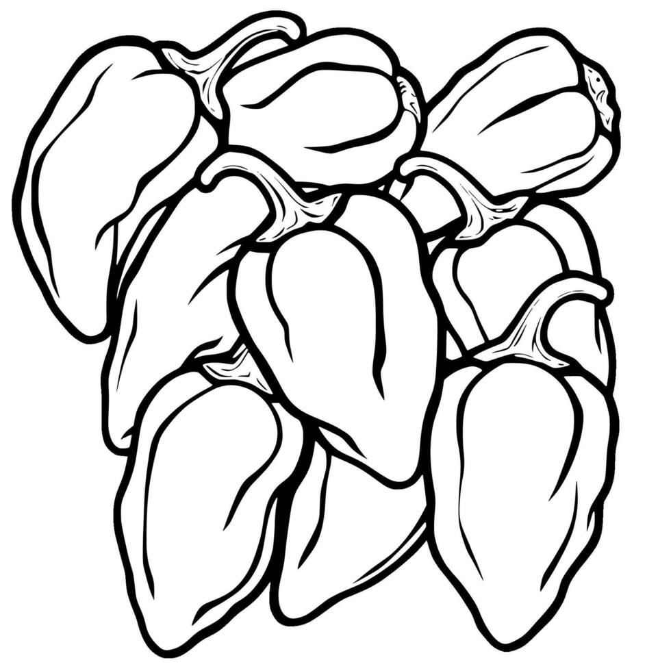 A Cluster of Fresh Bell Peppers Line Art Illustration vector
