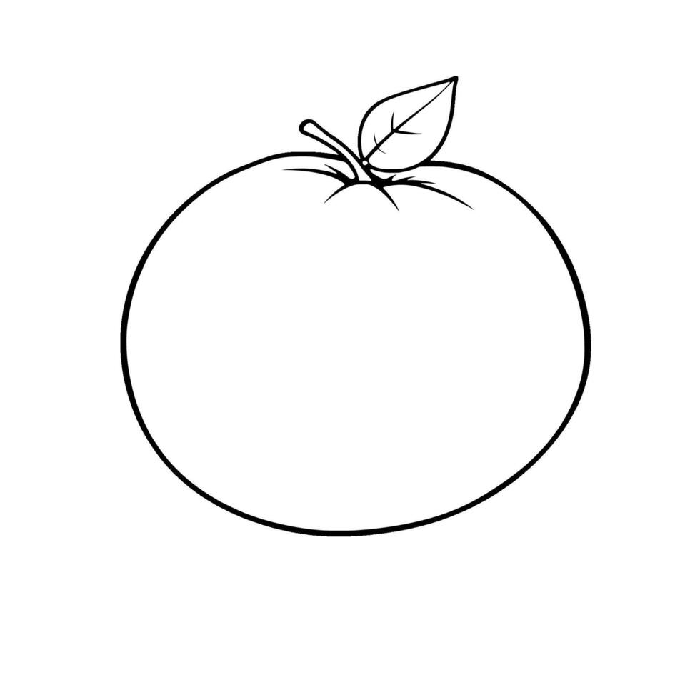 Simple Line Drawing Of A Single Round Orange With Leaf vector