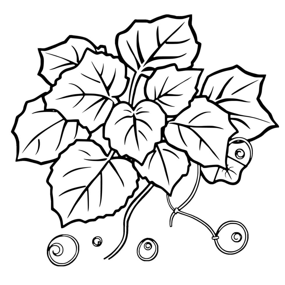 Detailed Line Drawing Of Lush Vine With Berries vector