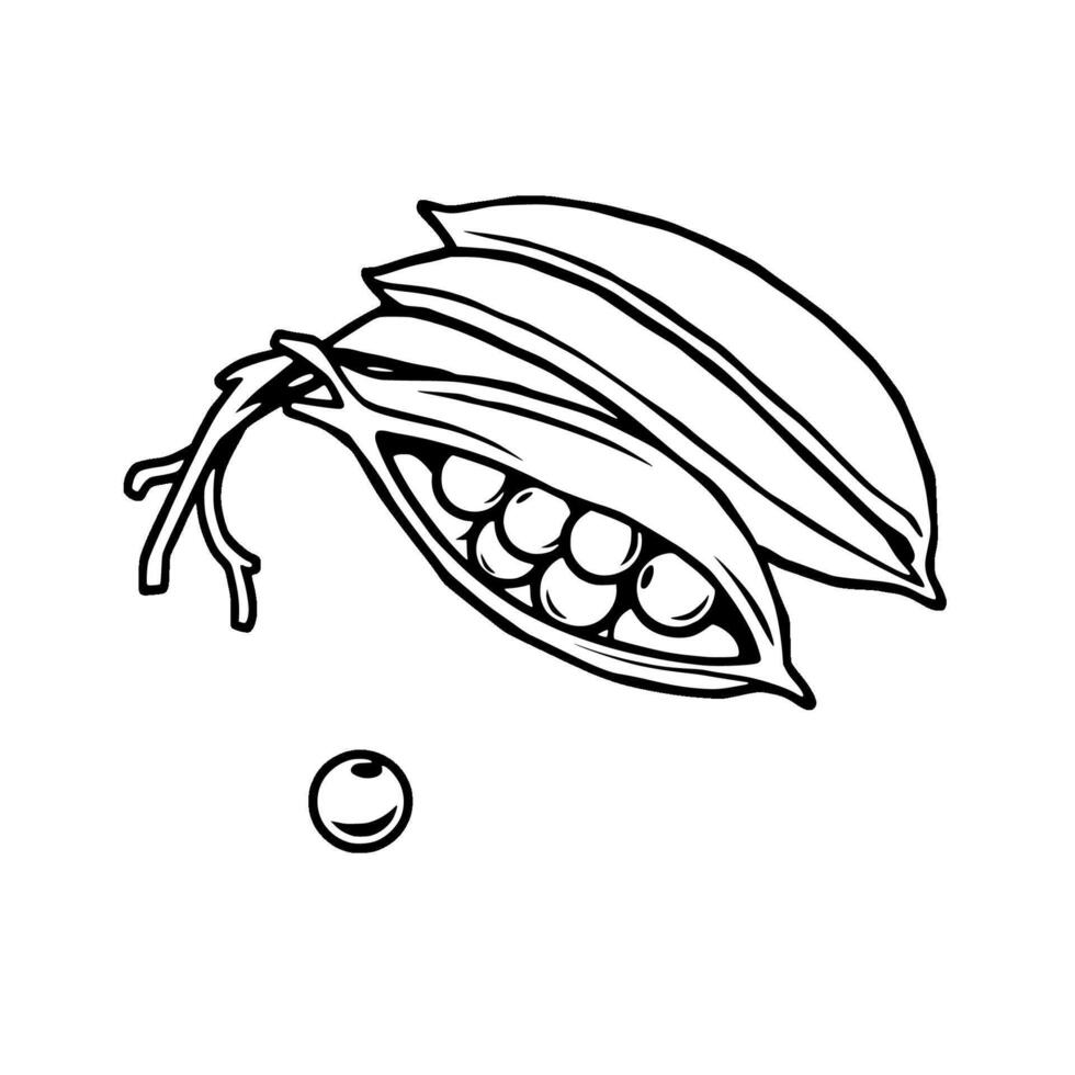 Fresh Green Peas in Open Pods Art Illustration vector