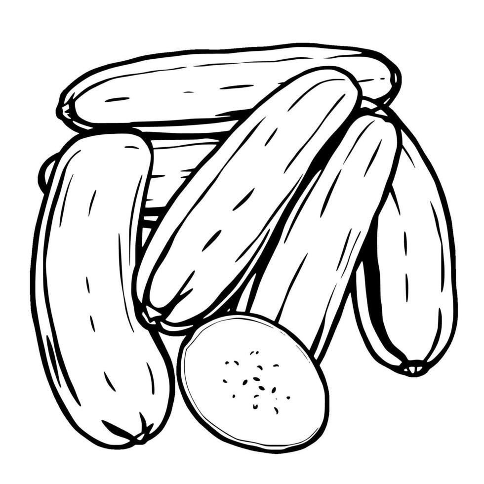 A Collection Of Fresh Juicy Cucumbers Ready To Eat vector