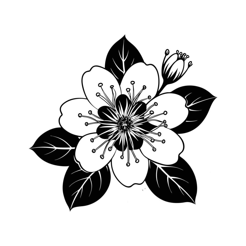 Light and Delicate Blooms vector
