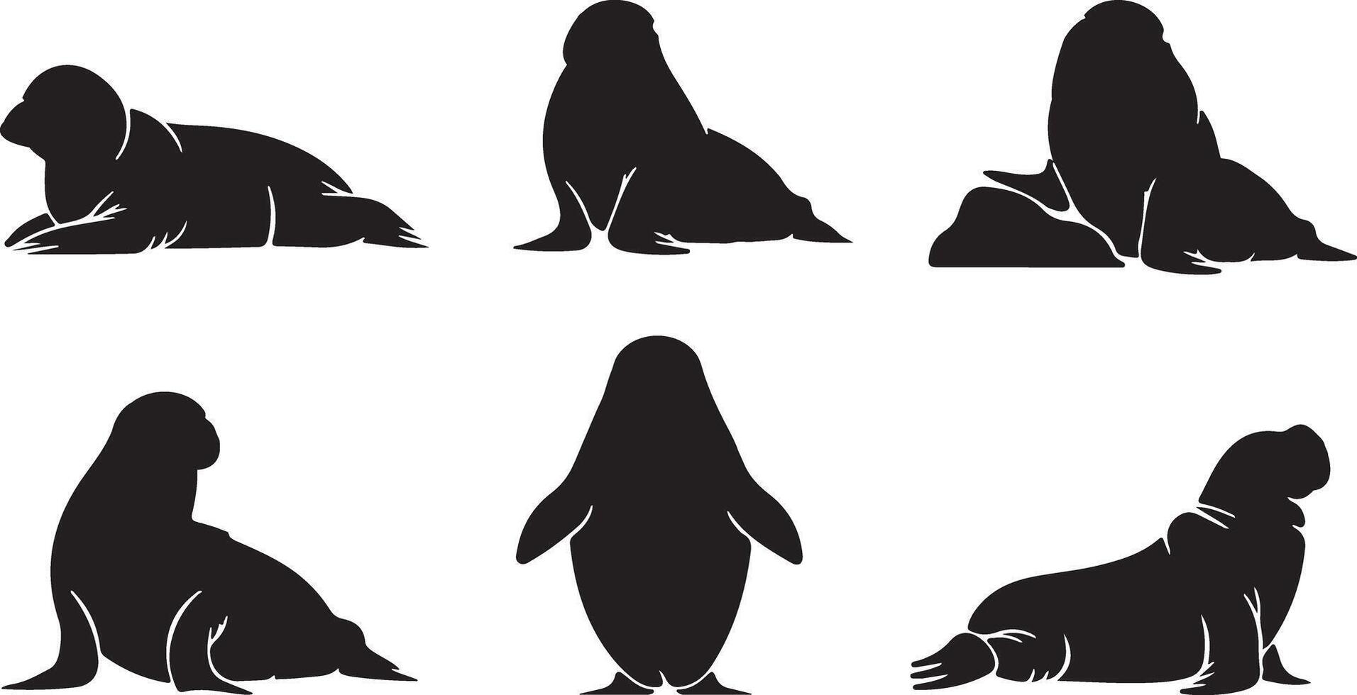 Collection of Walrus silhouettes vector