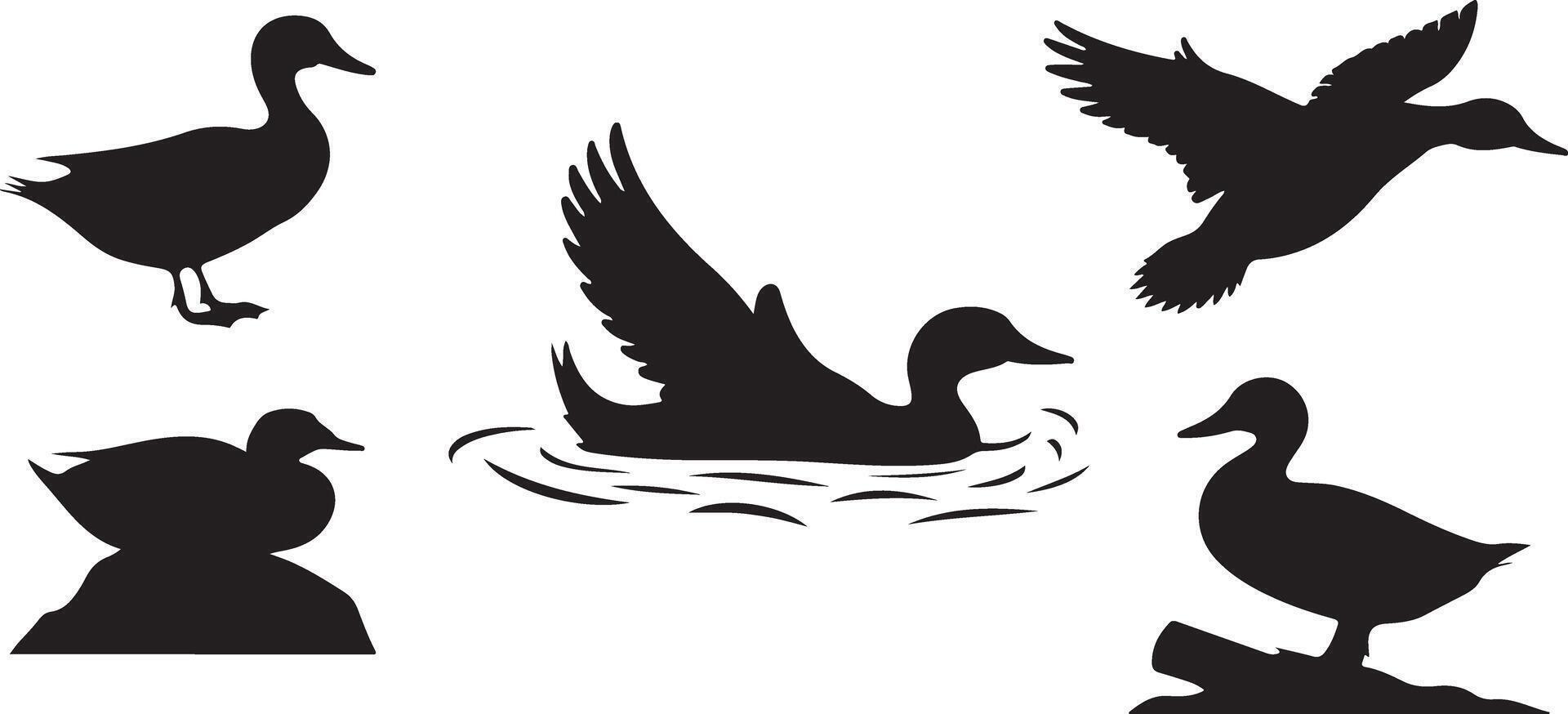 Black Duck silhouettes vector