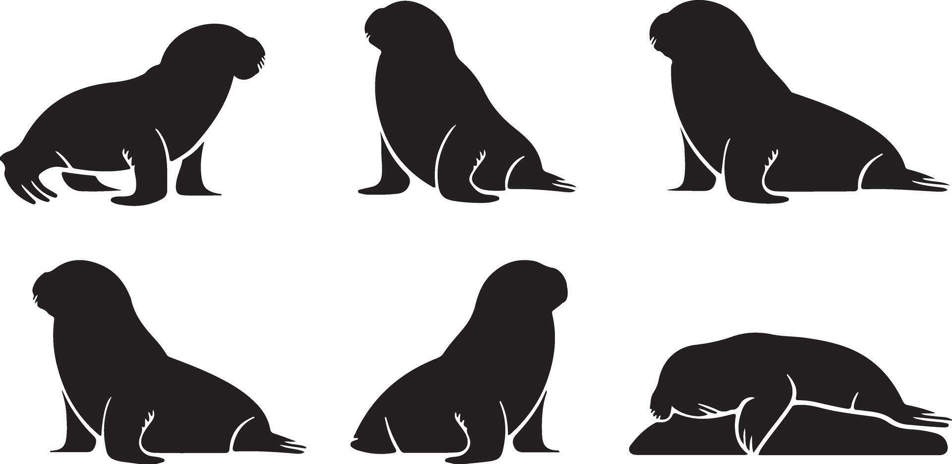 Set of Walrus silhouettes vector