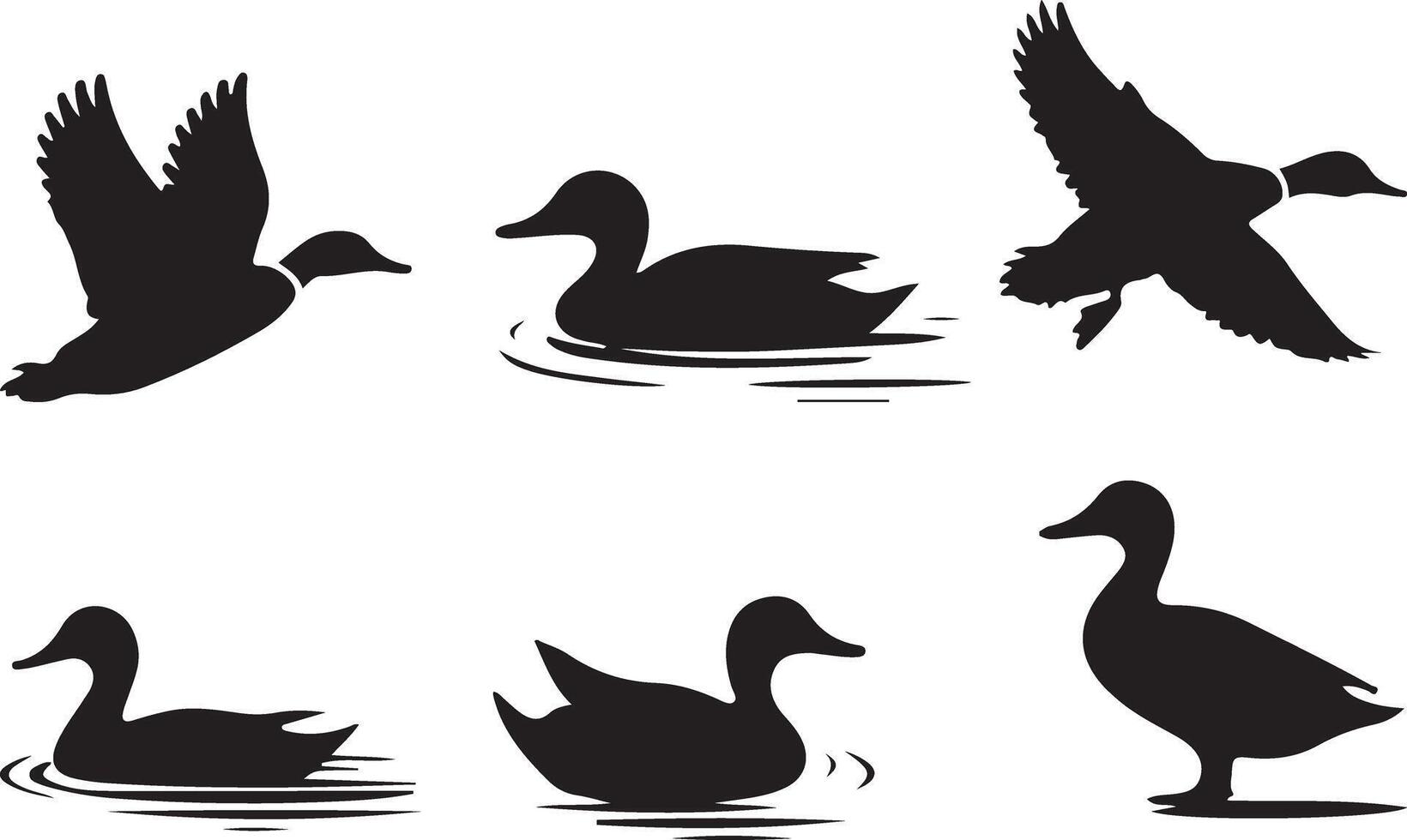 Collection of Duck silhouettes vector