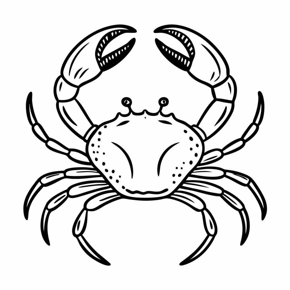 Detailed Black and White Crab Illustration Marine Life Art vector