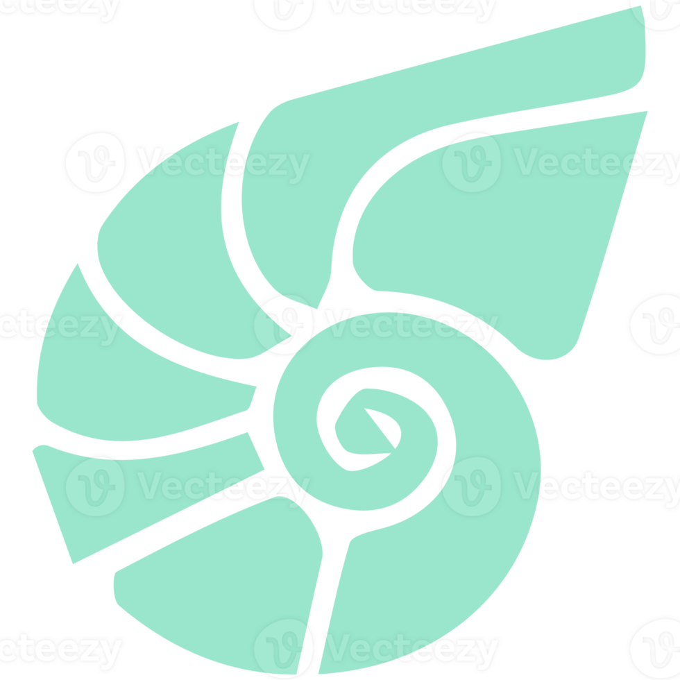 A green shell with a spiral design png