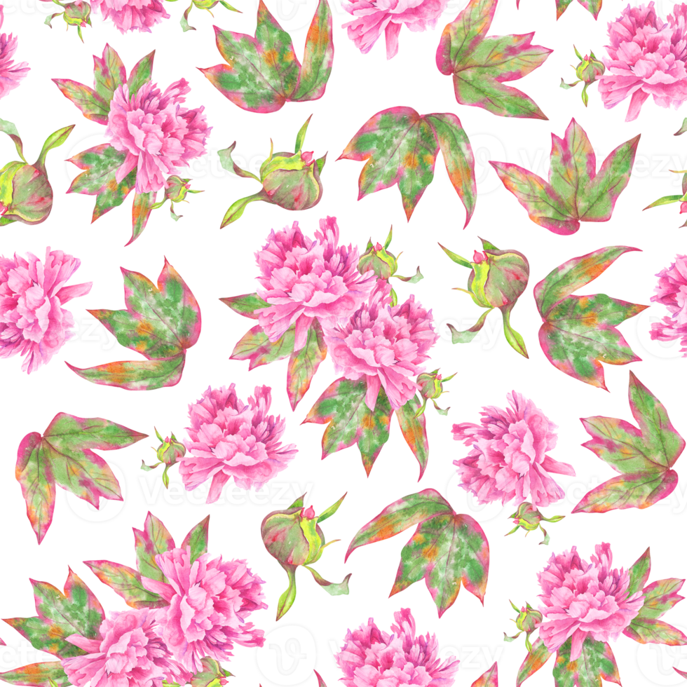 Pattern of watercolor hand-drawn illustrations of lush peony flower and peony leaves. Seamless pattern of large pink peonies and leaves, painted in watercolor. png