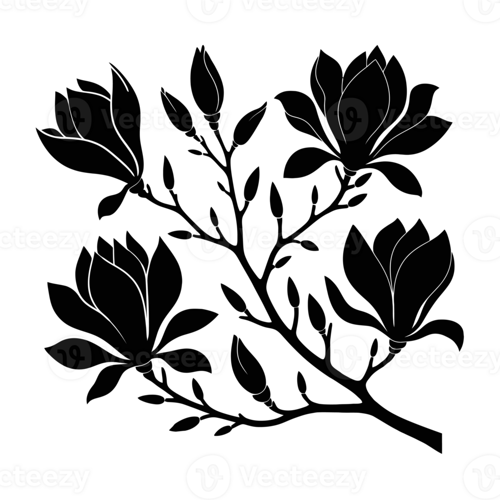 Silhouetted magnolia blooms and buds adorn twisting branches, creating a striking black and white contrast cutouts png