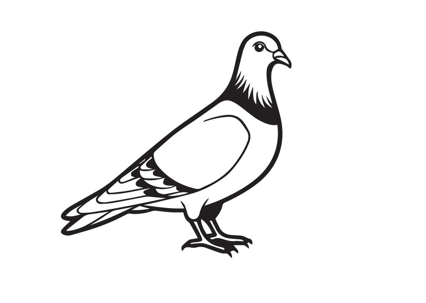 A black and white illustration of a pigeon vector