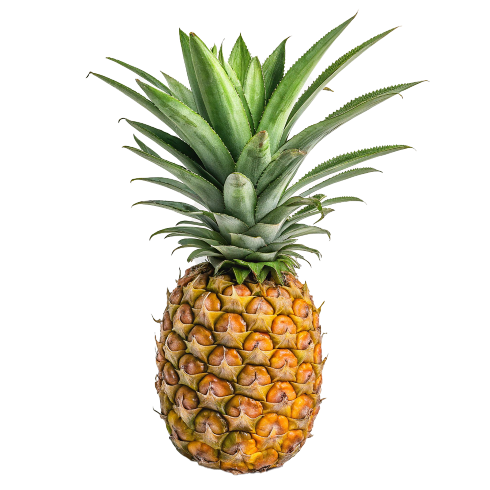 Ripe Pineapple Isolated Tropical Fruit Sweet Summer png