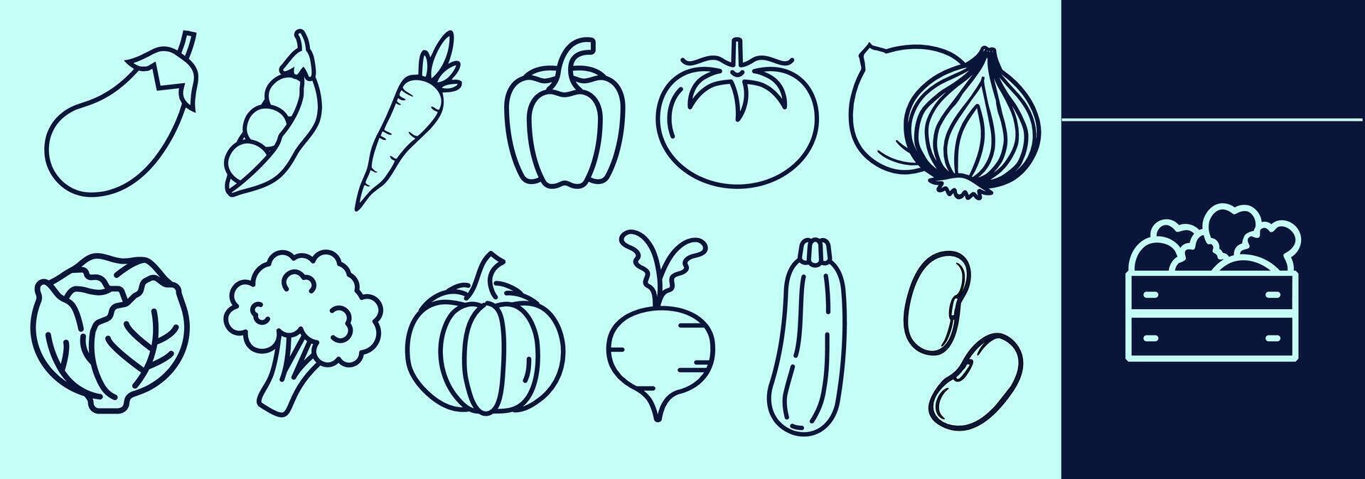 Line icons of vegetables set containing eggplant, peas, carrot,tomato, onion, cabbage, pepper, broccoli, sweet potato, zucchini, beans, veggies box. Editable elements, size and color. vector