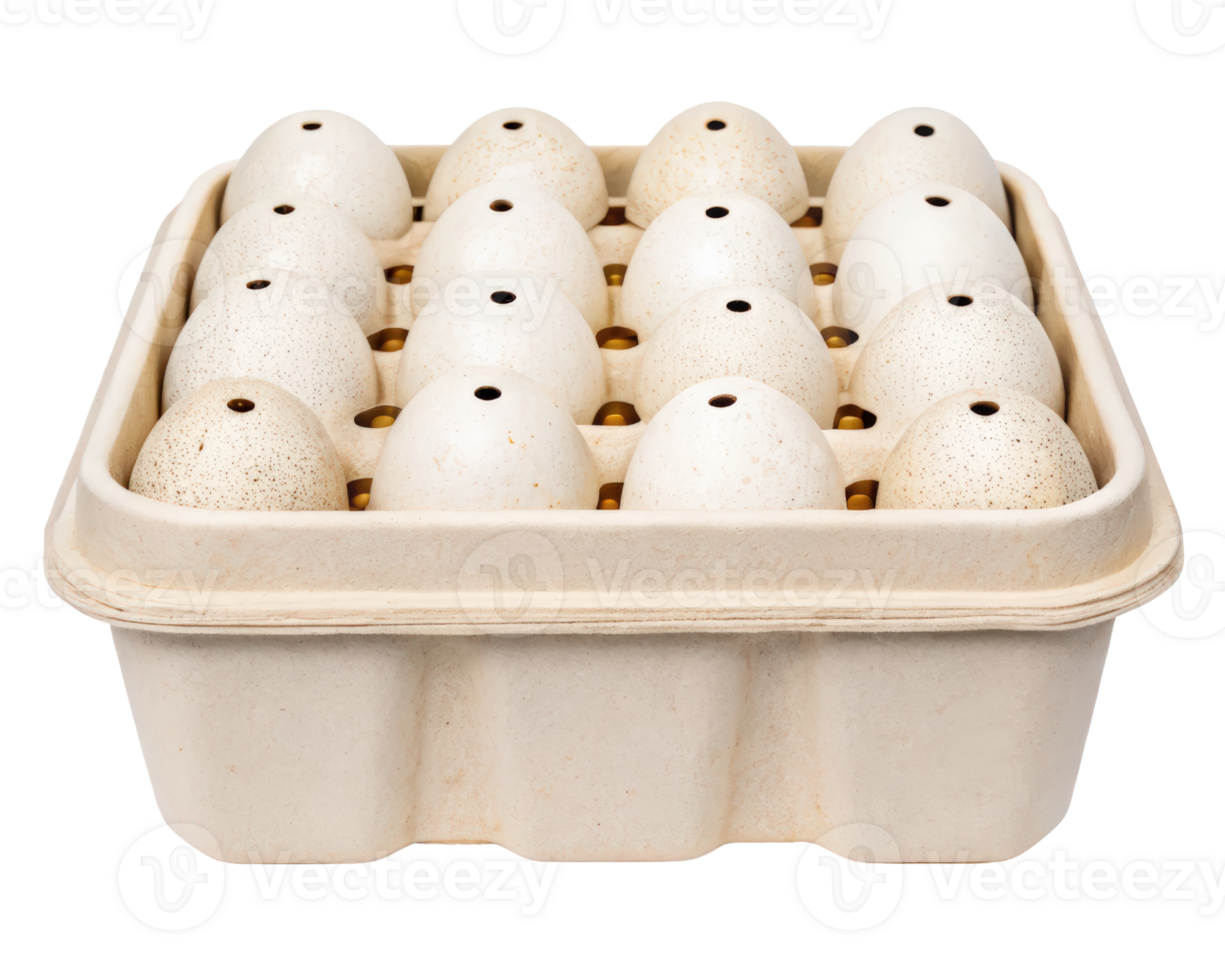 Carton of sixteen speckled eggs with top holes on a transparent background png