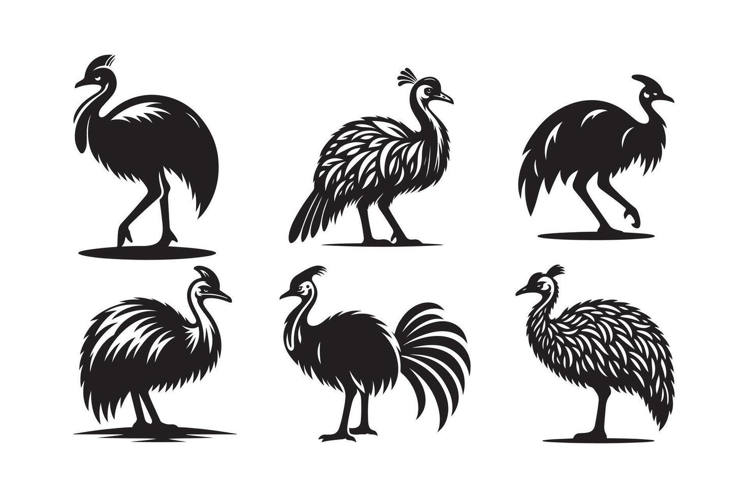 Cassowary Silhouette for Environmental Branding vector