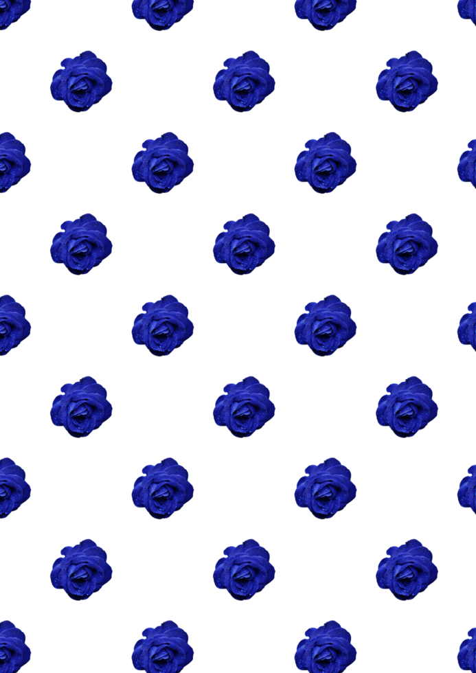Blue Rose Seamless Pattern with Transparent Background png