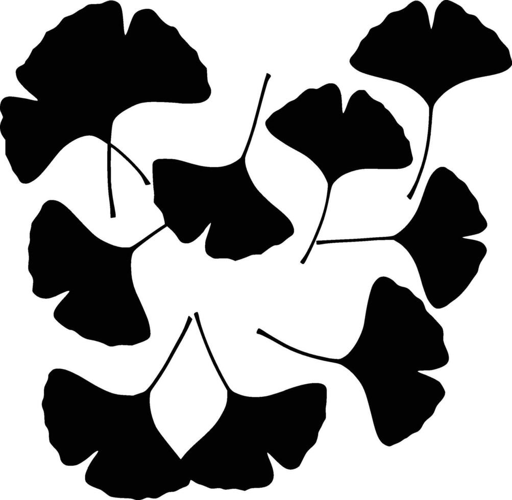 Ginkgo leaf outlines against a white backdrop. vector