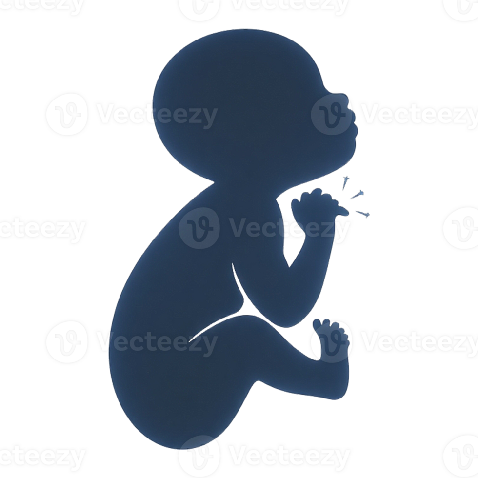 a silhouette of a baby in the womb transparent background png