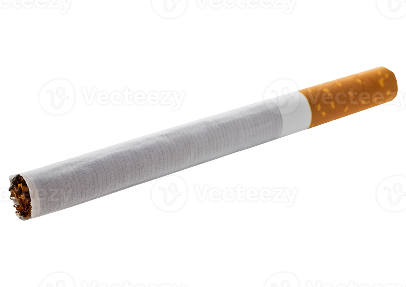 Close-up of a single cigarette isolated png