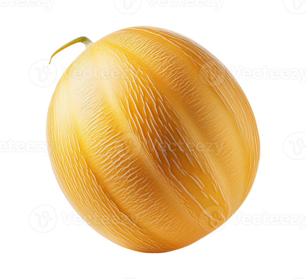 a delicious melon is shown on a transparent background png