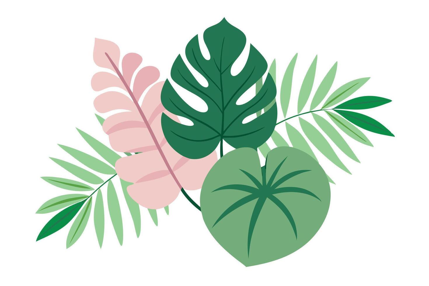 Tropical leaves arrangement with monstera, palm and philodendron on white background vector