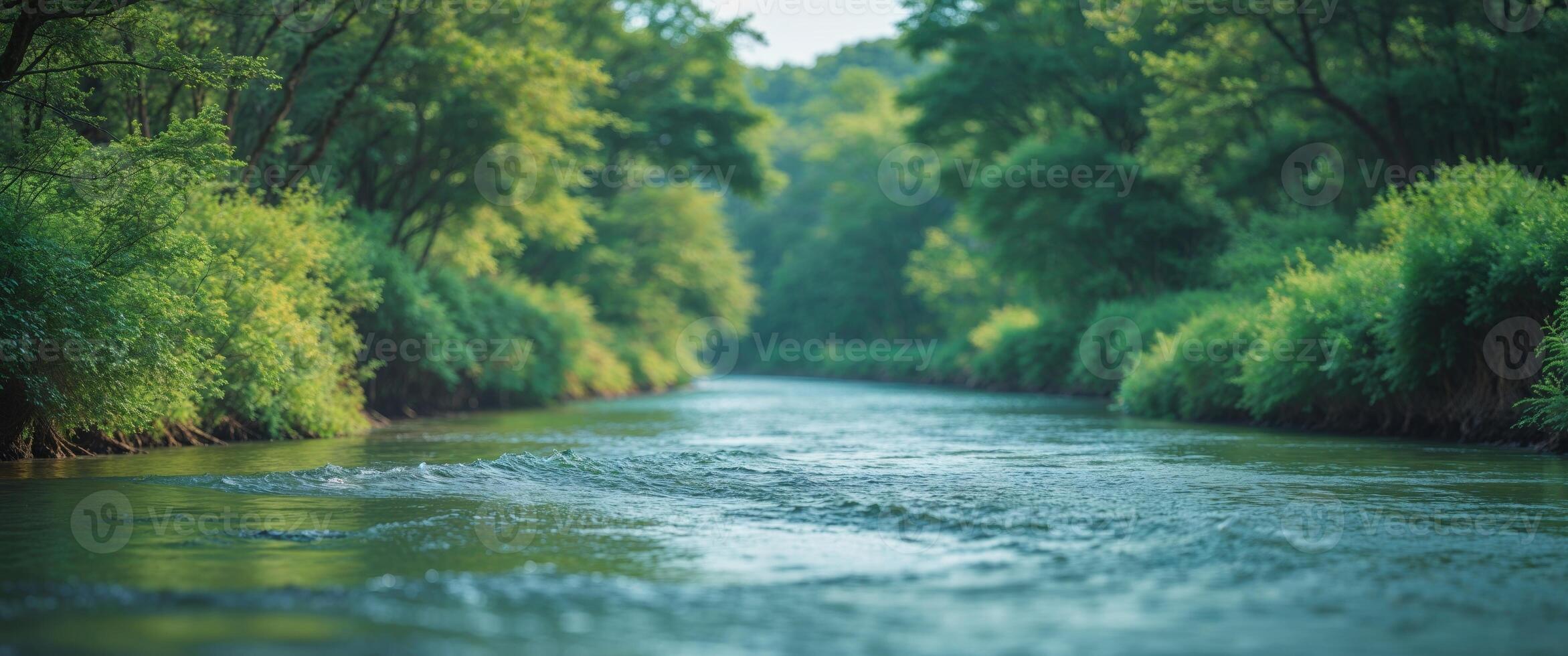 A river running through a green forest photo