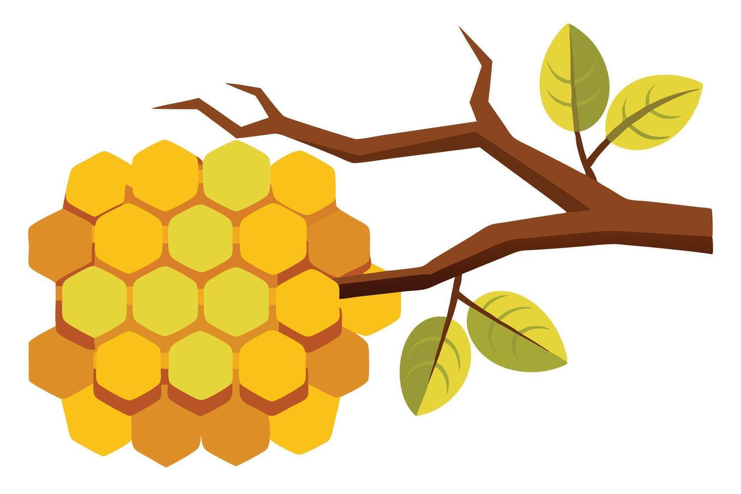 Hexagon Honeycomb Hanging Branch with Leaves Isolated on a White Background vector