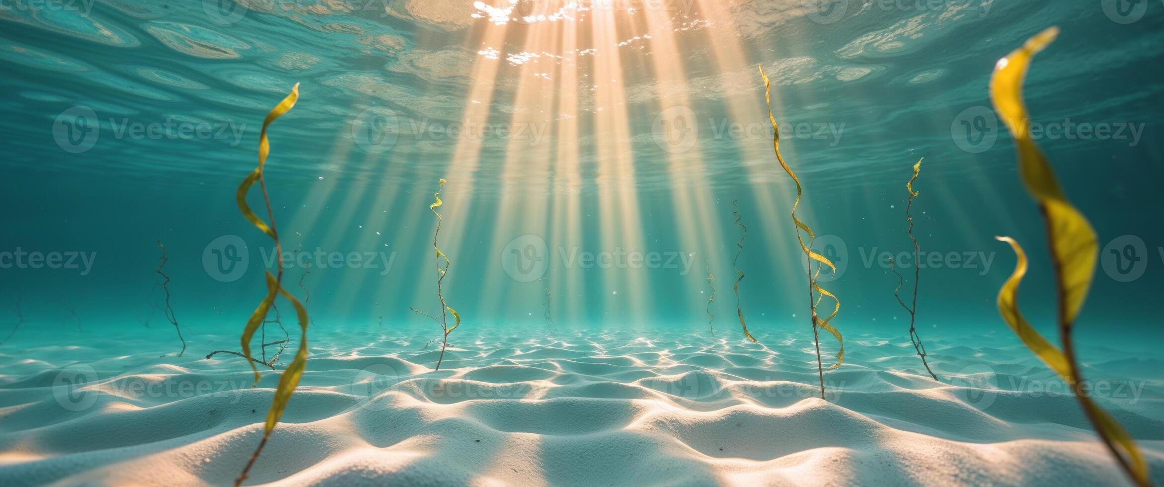 Underwater Sunlight Beams Illuminate Ocean Floor. photo