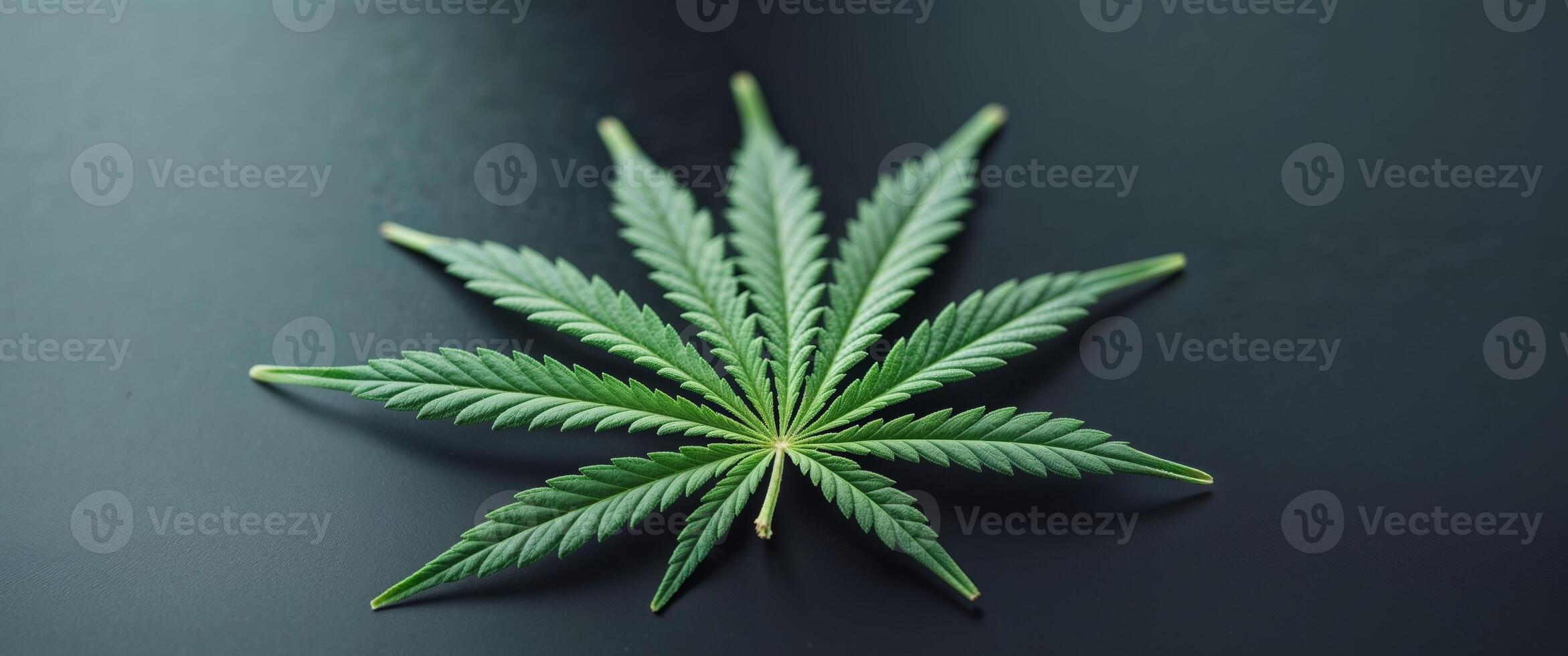 A leaf of marijuana is on a black surface photo