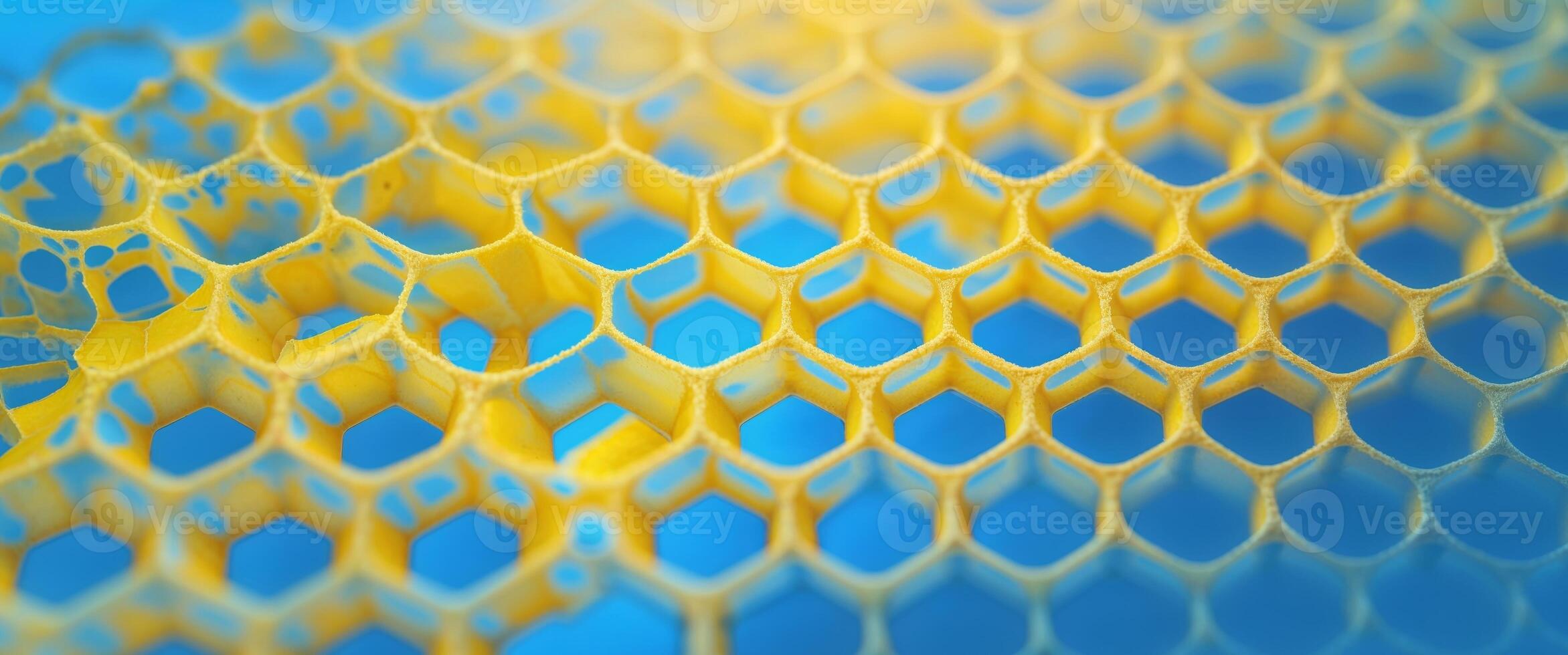 A close up of a honeycomb with yellow and blue photo