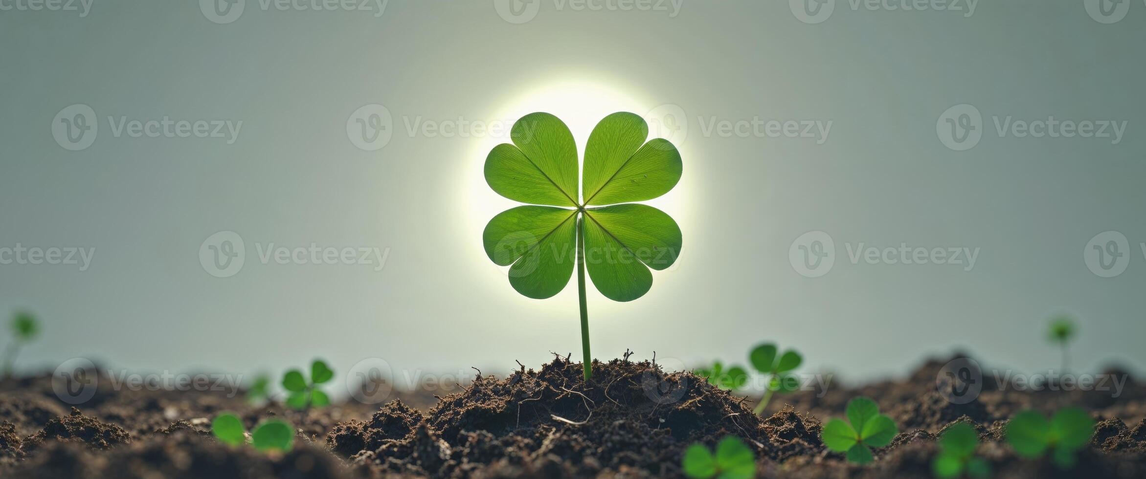 Bright Green Clover Emerging From Fertile Soil Symbolizing New Beginnings Fresh Growth and Hopeful Prospects. photo