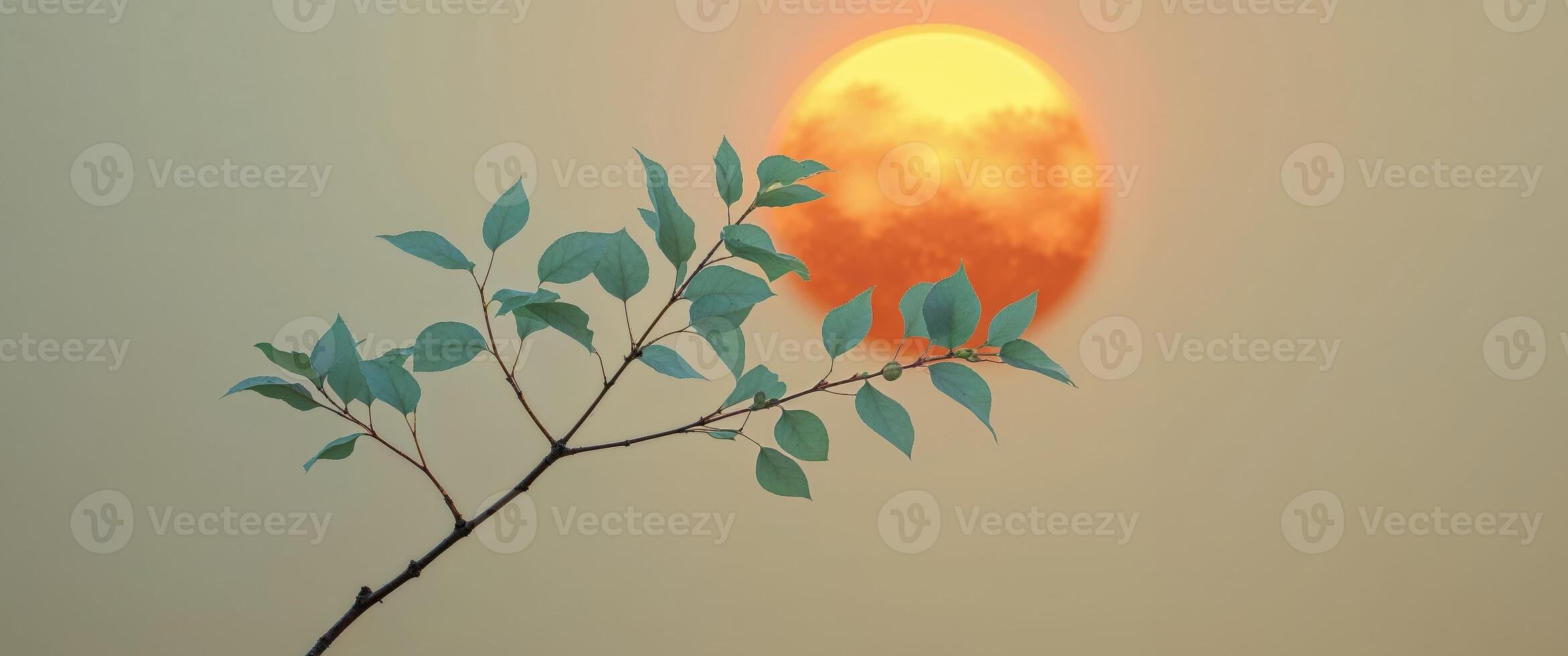 A tree branch with leaves in front of the sun photo