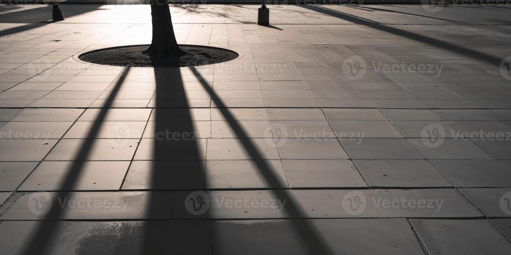 Long tree shadow stretching across sidewalk in late afternoon sunlight photo