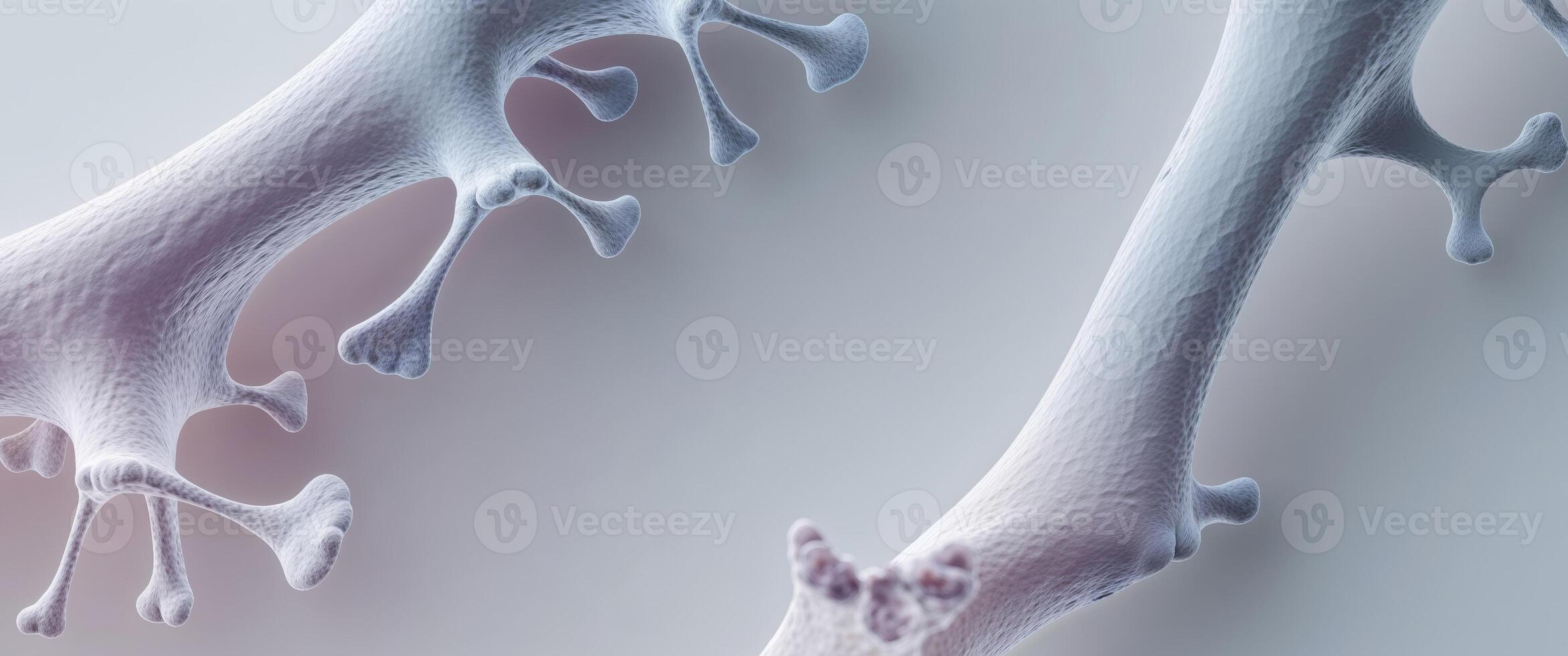 Microscopic View of Bone Structure and Osteoporosis Prevention in Medical Research and Healthcare Innovation photo
