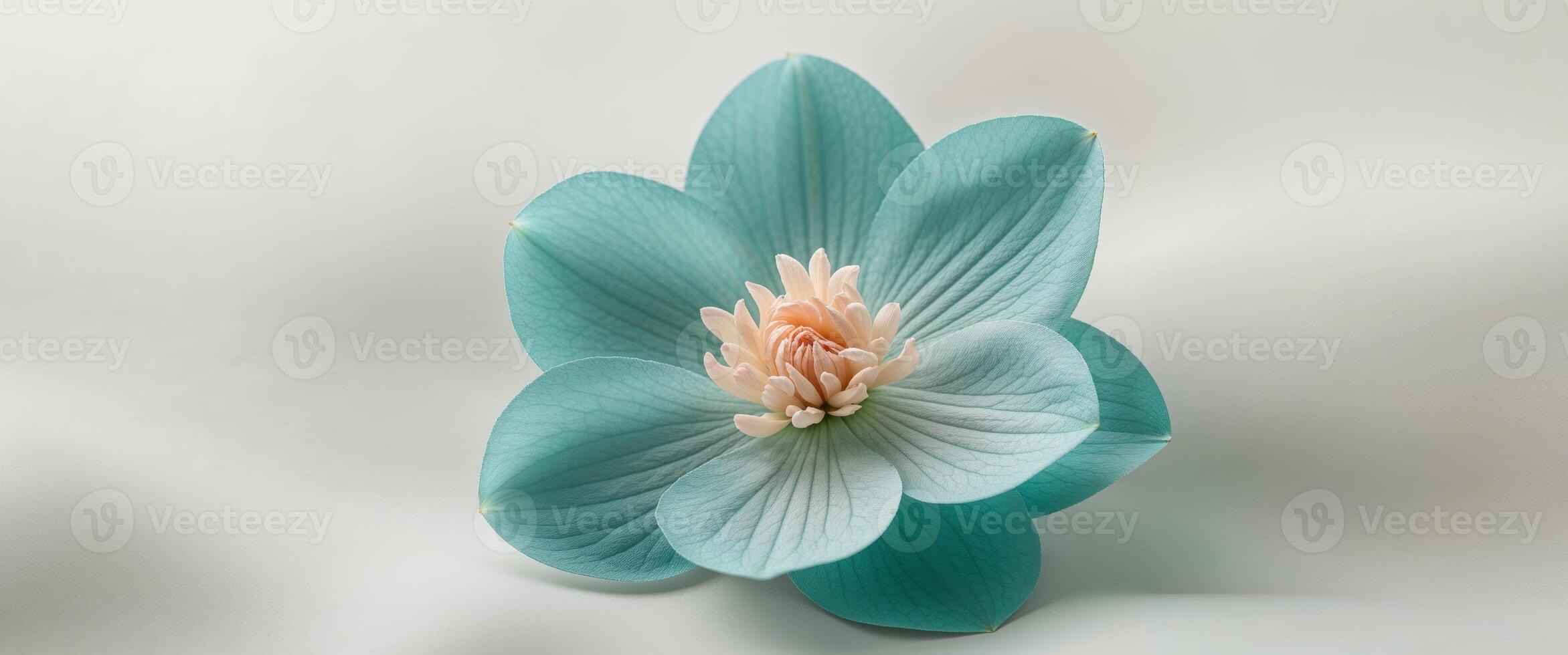 A Stunning Teal Flower with Peach Center Blooms photo
