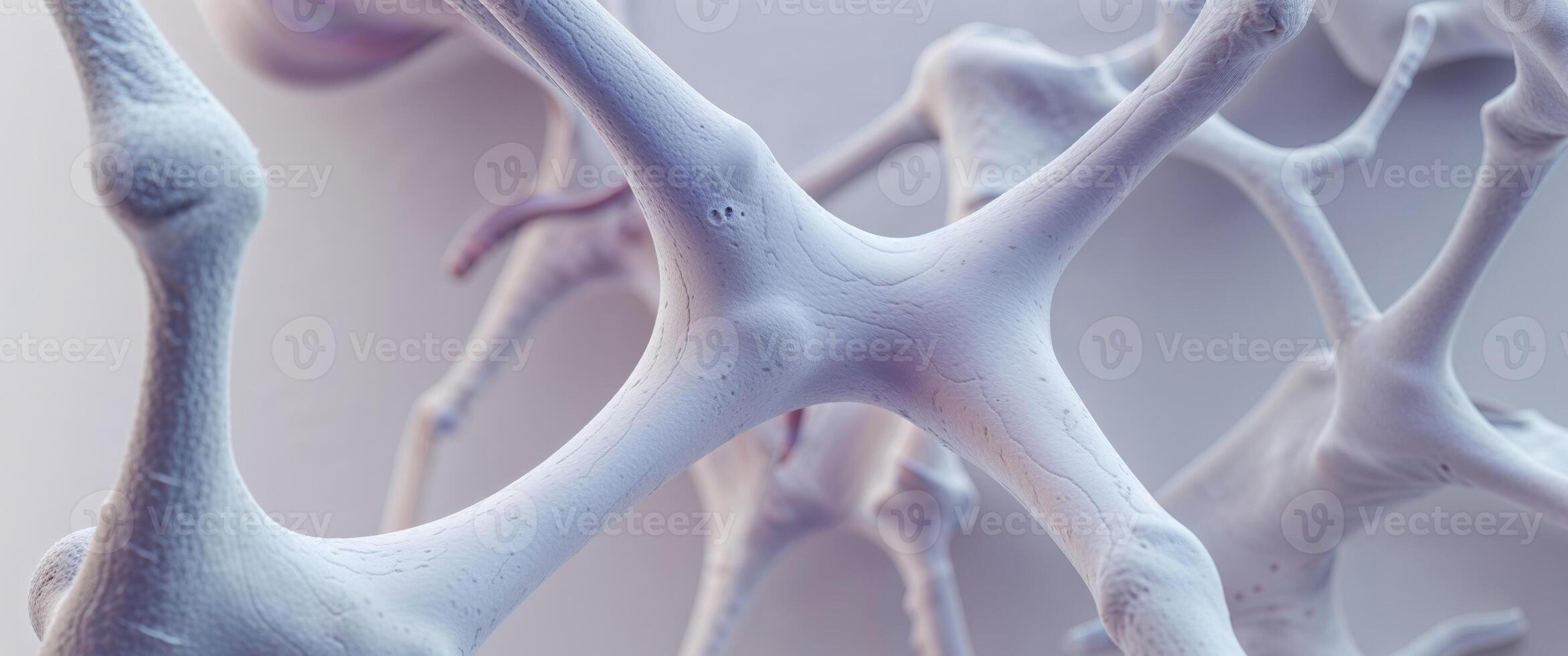 Microscopic View of Bone Structure and Osteoporosis Prevention in Medical Research and Healthcare Innovation. photo