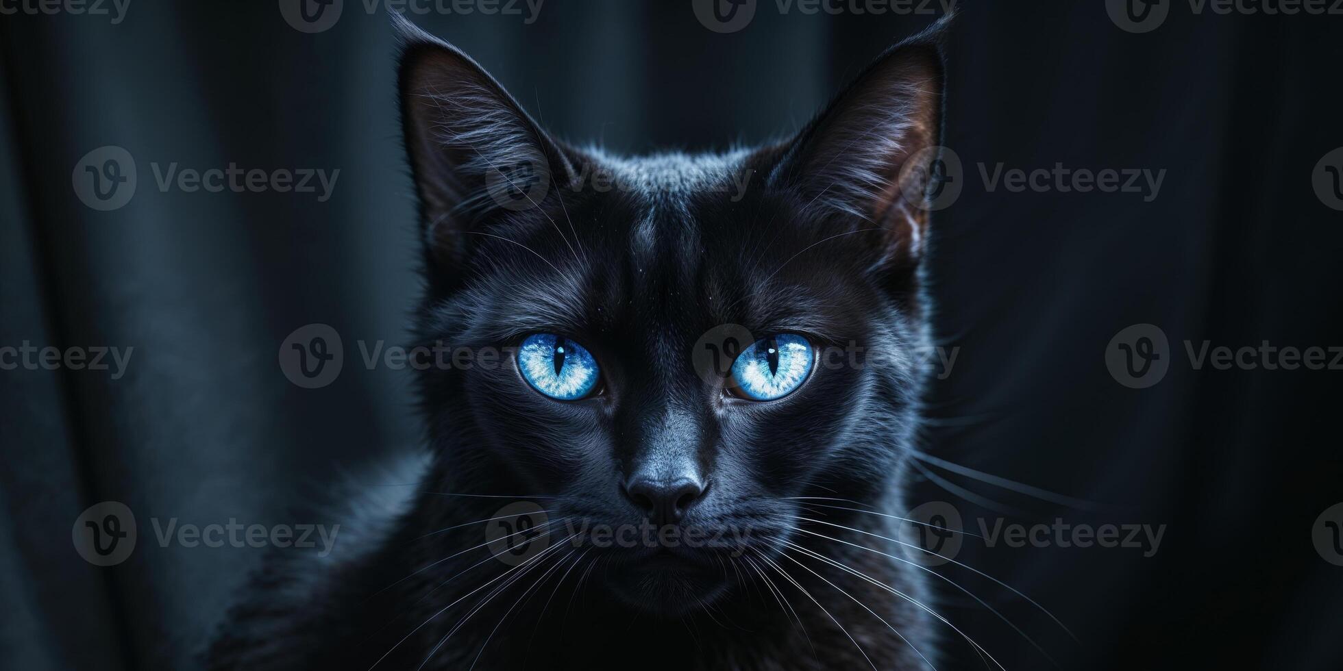 Mysterious Black Cat with Glowing Eyes in the Night photo